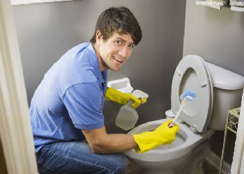 Bathroom Sanitizing